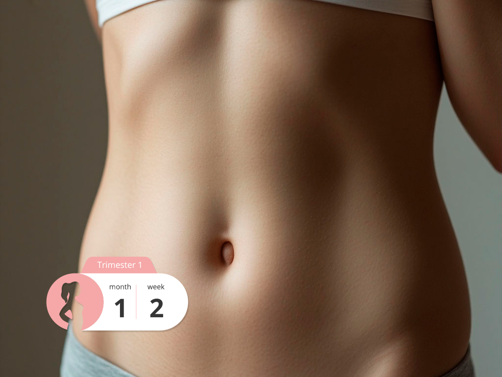 What to Expect at 2 Weeks of Pregnancy: Preparing for Labor and Self-Care