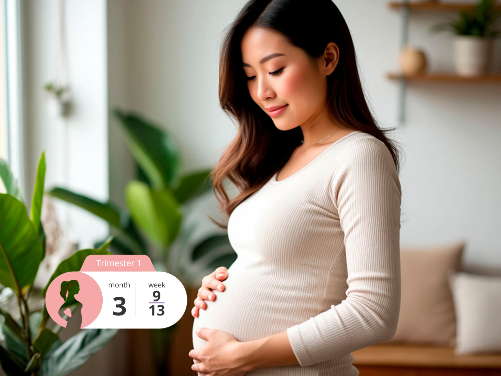 Third Month of Pregnancy: Key Milestones and Changes