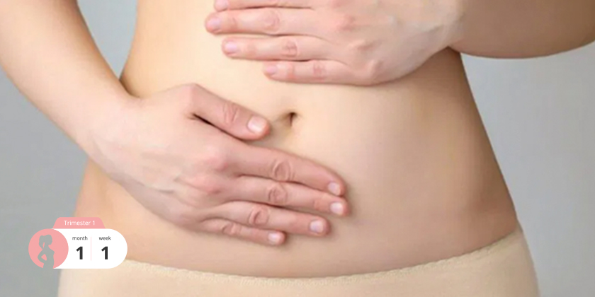 First Month of Pregnancy: What Happens in the Very Beginning