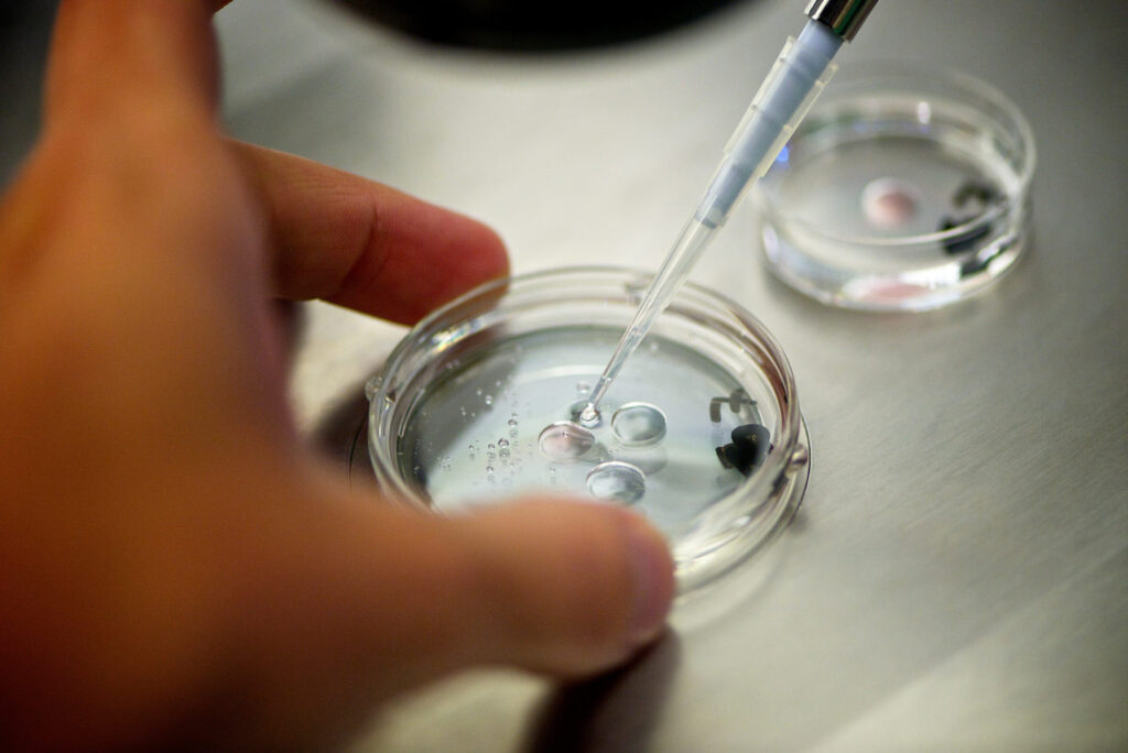Understanding In Vitro Fertilization (IVF): A Comprehensive Guide