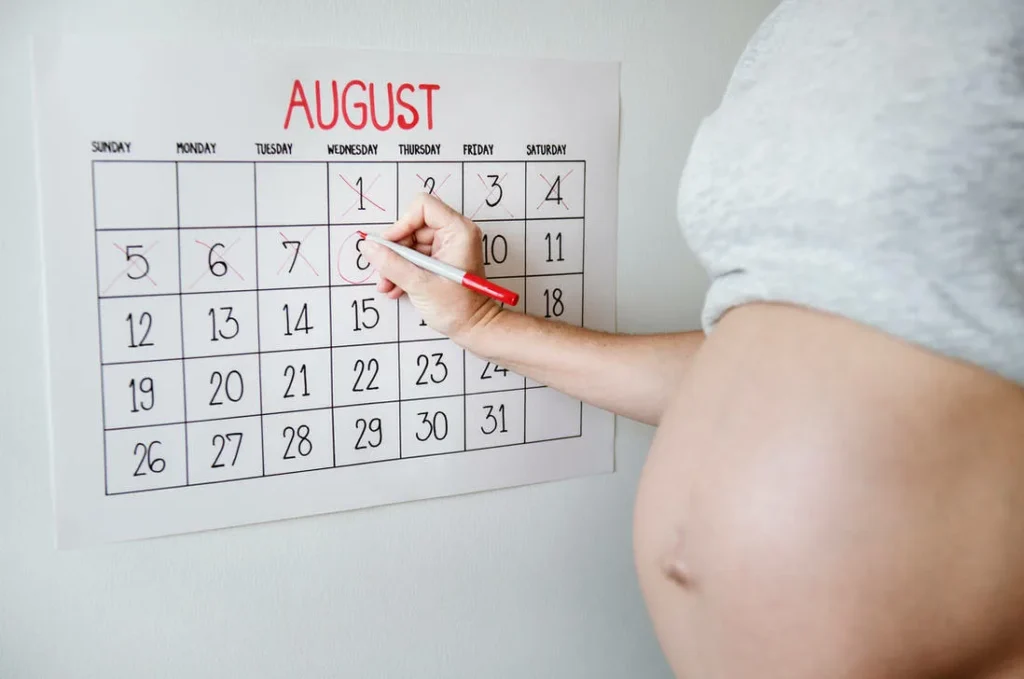 Detailed Pregnancy Calendar